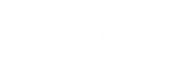 Gabarita Concurso